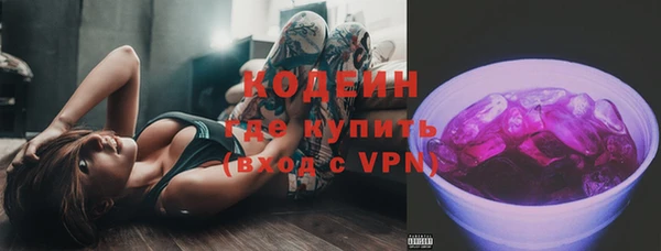 дмт Нягань
