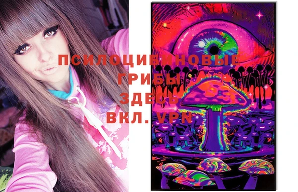 дмт Нягань