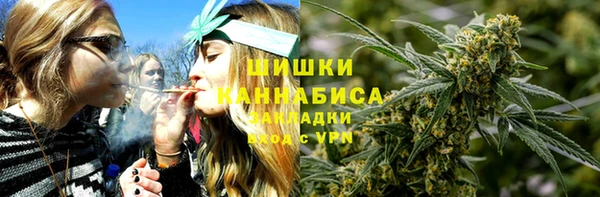 дмт Нягань
