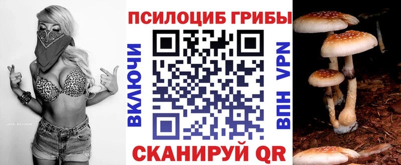 площадка клад  Нахабино  Псилоцибиновые грибы мухоморы  наркота 
